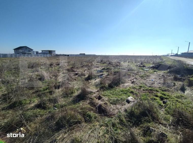 Lot 5 parcele intravilan, Metro, 7439 mp, acces la utilitati - 3