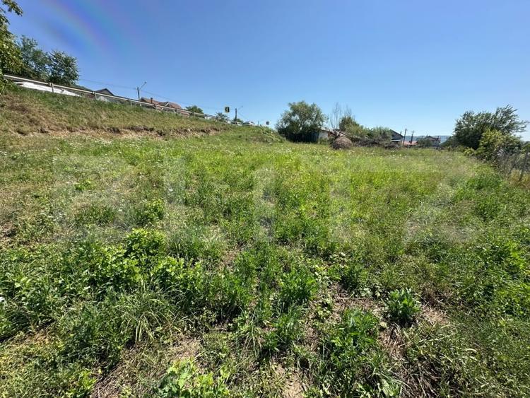 Teren Construcții intravilan de 1400 mp, în Crainimăt