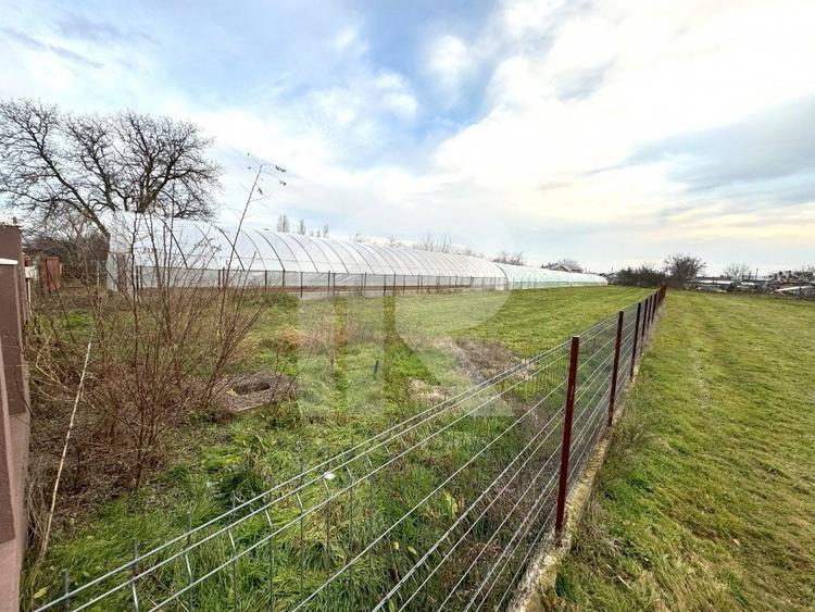 teren intravilan, Curcubeu, Balta Doamnei, liber, imprejmuit - 2