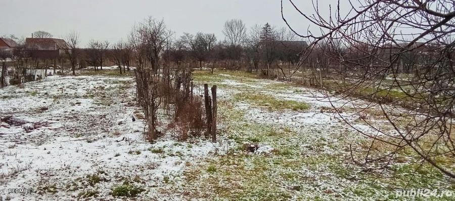 Casa de vanzare in comuna Barsa, judetul Arad - 1