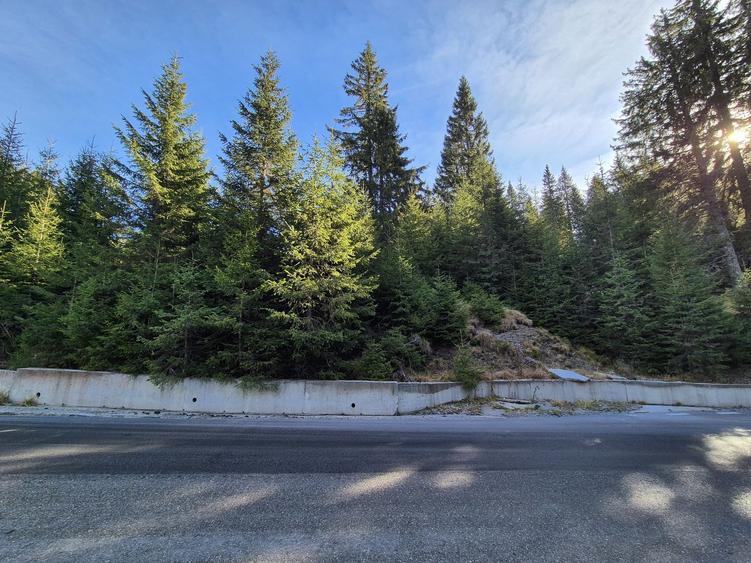 Teren Dichiu Transbucegi - 5