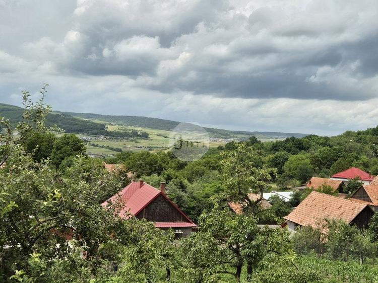 Teren INTRAVILAN | Construibil | 600 mp | Popesti Deal - Baciu ! - 1