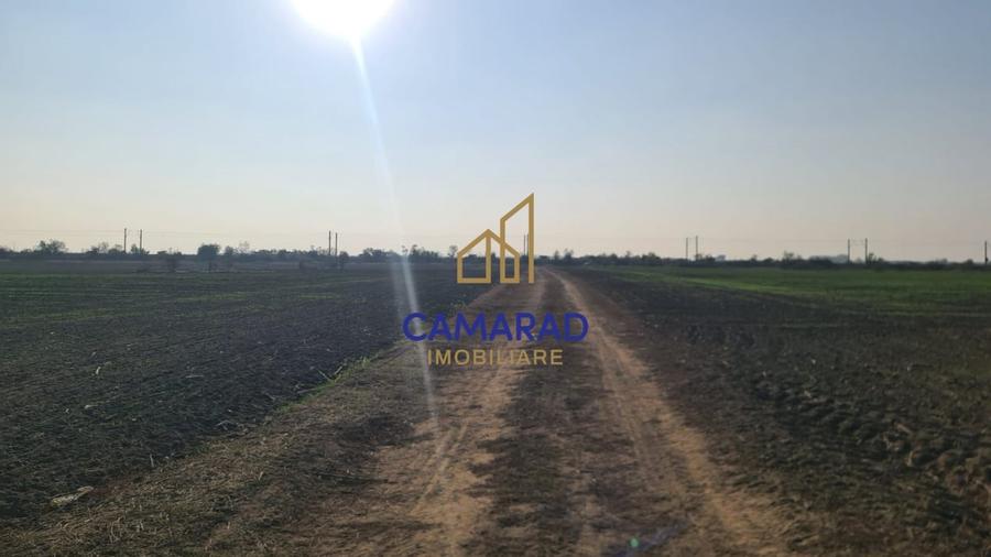 Teren intravilan de vanzare - zona industriala Domnesti/A1 - 4