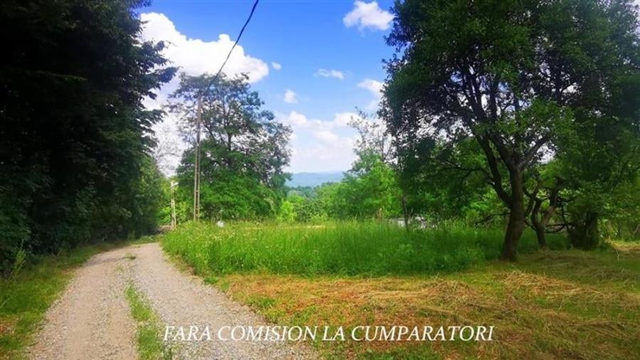 DEALUL MALULUI, TEREN 1500 MP INCONJURAT DE PADURE - 6