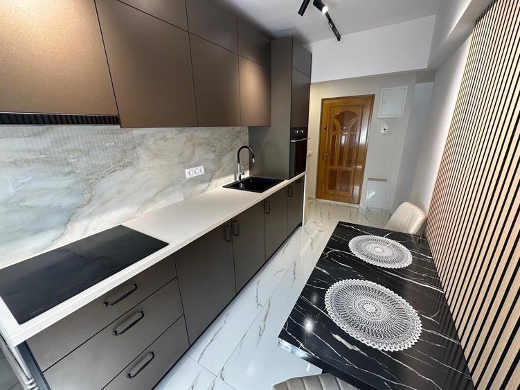 Apartament 2 camere B-dul Victoriei - Parcul Sub Arini - 8