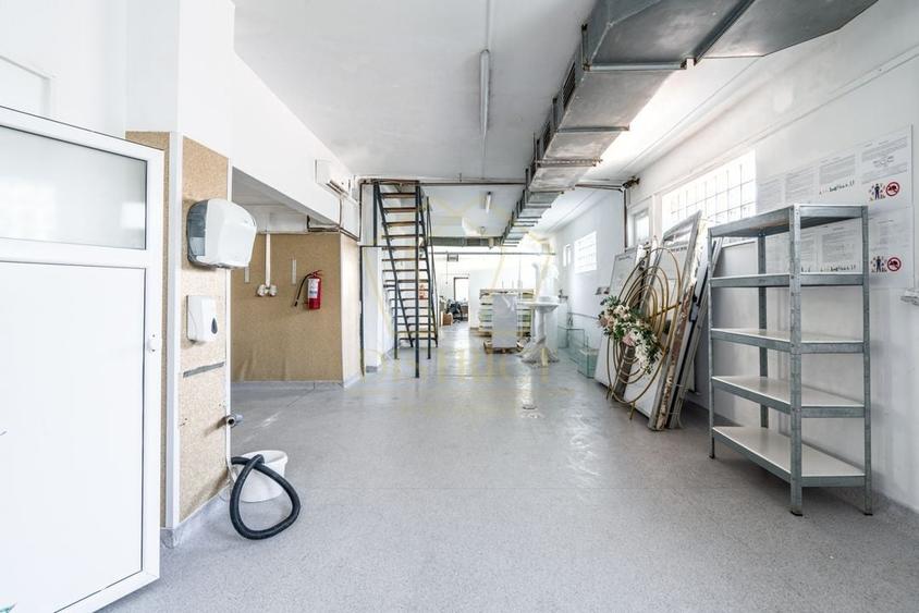 COM 0% Casa cu hala industriala, birouri si teren 1667mp | Mehala - 15