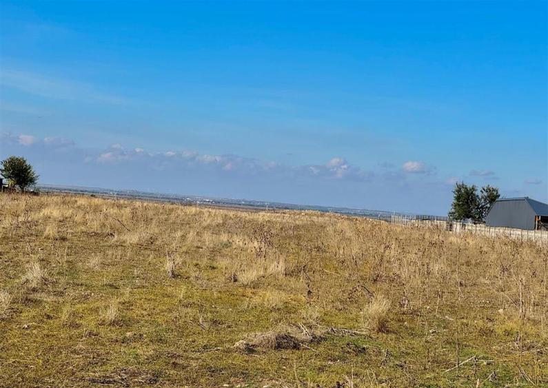 Teren industrial de pentru hale in Braila / aproape de Dru - 6