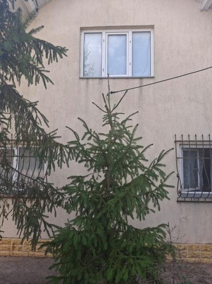 Vand CASA Poarta Alba ,Constanta - 3