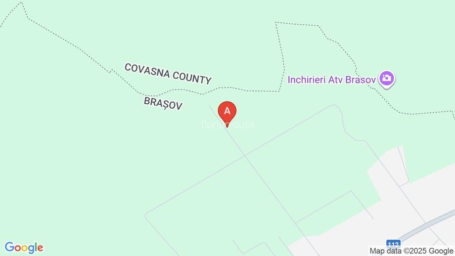 Teren extravilan de vanzare