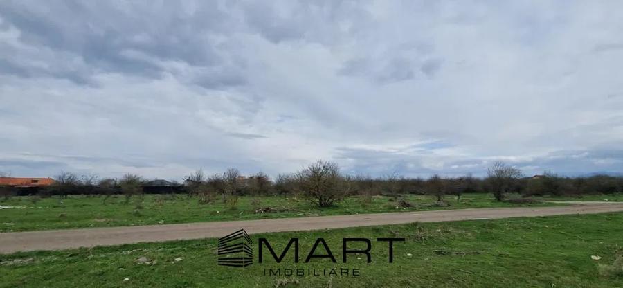 Teren Intravilan 533 mp Sanpetru - 4