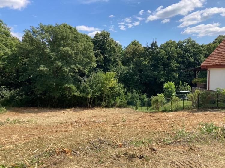 TEREN INTRAVILAN 1060 MP, BUCIUM- BARNOVA, DESCHIDERE LA DRUM 23 M - 3