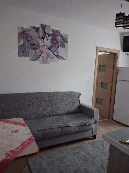 Inchiriez apartament in Curtea de Arge? - 3
