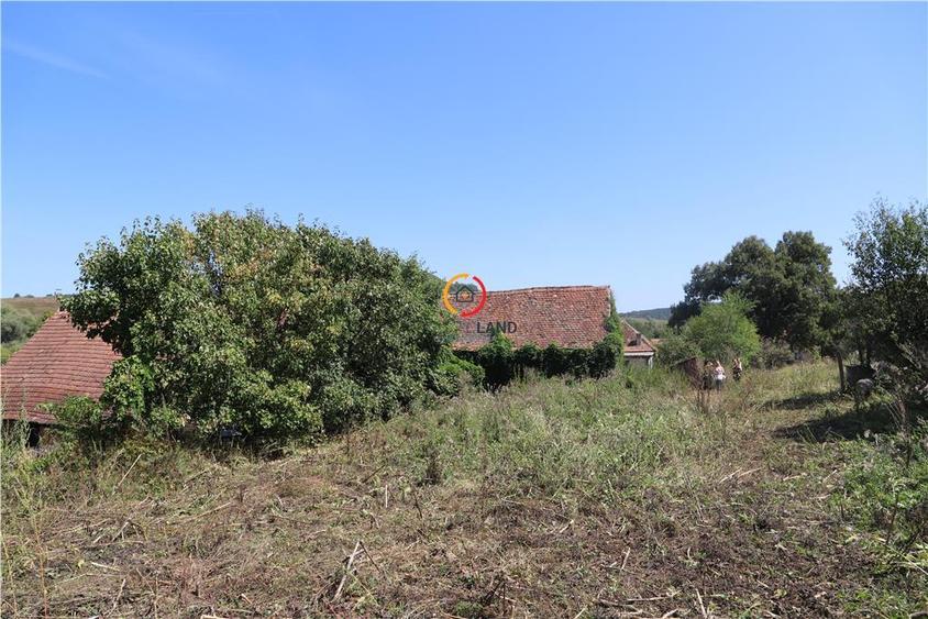 Casă individuală cu 3 camere cu Teren 2556 Mp în Bruiu
