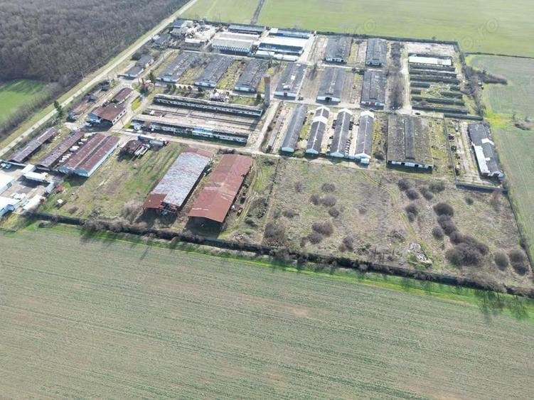 Ansamblu hale 4000mp pe teren 10.000 cu platforma betonata - 7