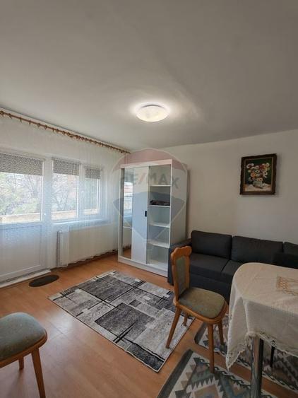 Garsonieră spațioasă cu balcon mare, Brazda, etaj 1 - 1