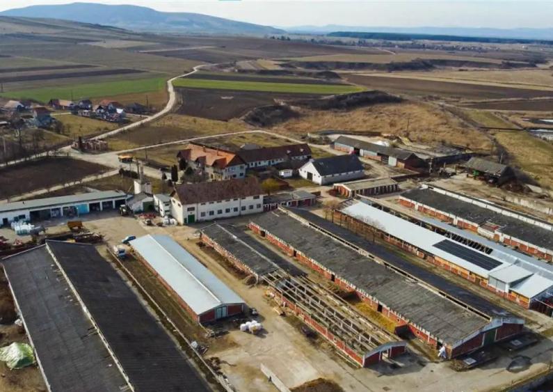 FILM! Complex agrozootehnic cu traditie, echipat,pretios pot - 13