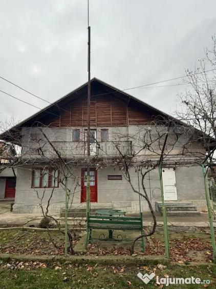 Proprietate completa in Sacuieni- Doua Case + Anexe - 11