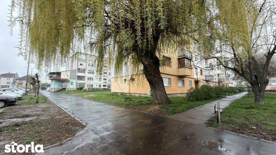 Apartament 2 camere Zona Penny Etaj II, Ignisului 28 - Carei - - 11