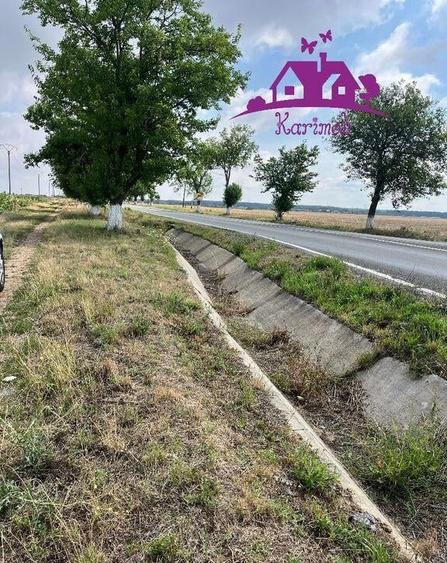 Teren la intrare in localitatea Gepiu - 2