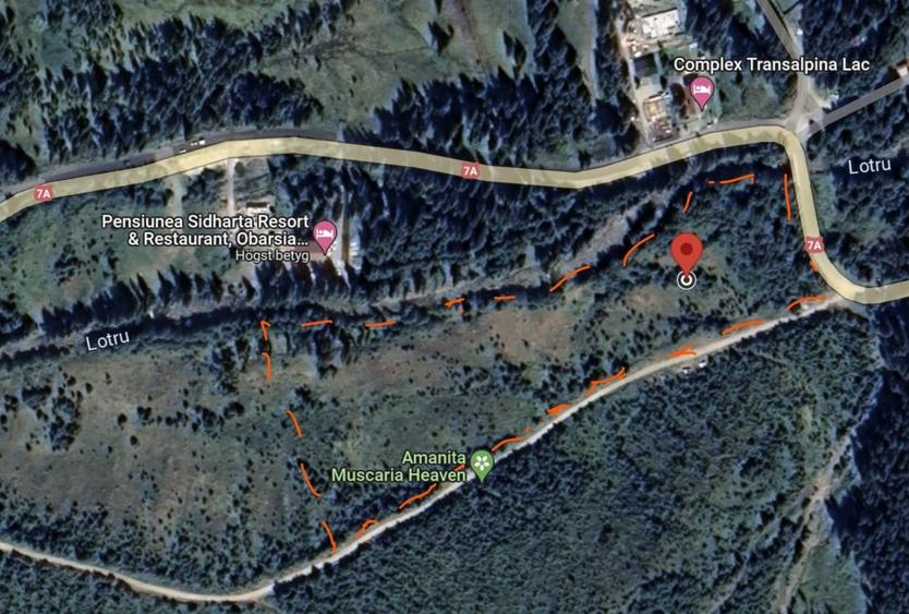 Terenuri, Obarsia Lotrului, Trans Alpina Ski Resort - 2