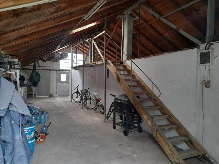 Vand casa Peciu Nou - 8