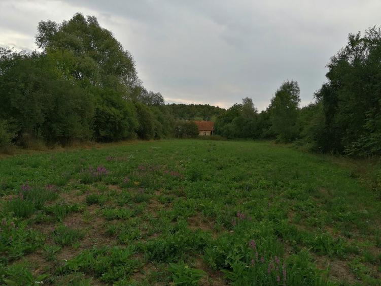 Casa de vanzare - 2