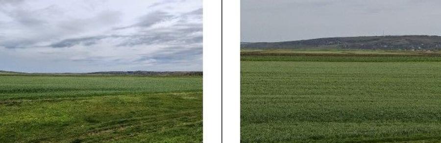 Teren Andrieseni, cota parte 1/20, ID: R2603082 - 6