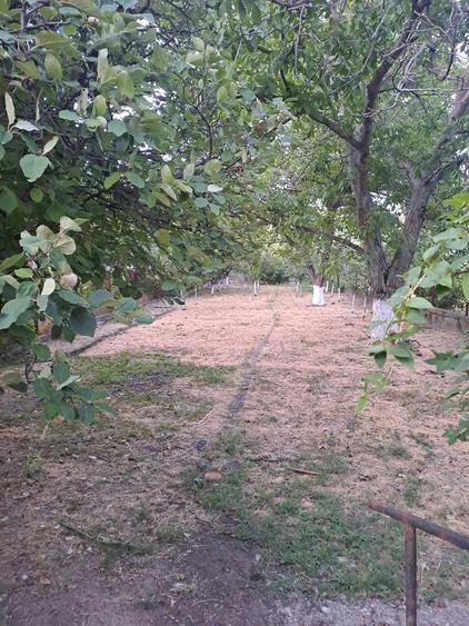 Casa de vanzare, frumoasa ?i cocheta - 3