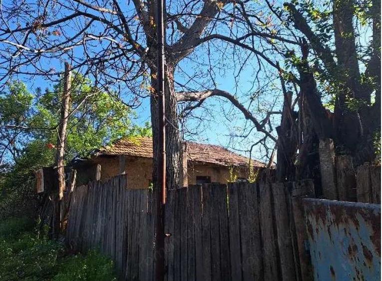 Cota de 1/2 din casa si teren- sat Poroini?a, Comuna Rogova, Jud Mehedinti; - 3