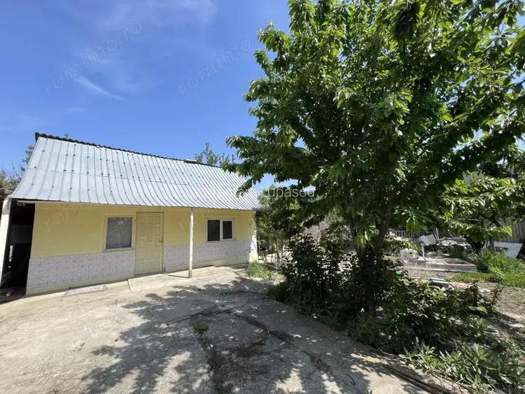 Casa ?i teren de 2200 mp, Ru?i-Ciutea Casa ?i teren de 2200 mp, Ru?i-Ciutea
