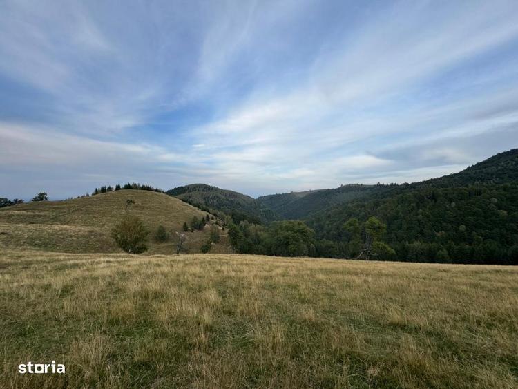 Teren Extravilan de Vanzare in Paltinis - Oportunitate Exceptionala In - 4