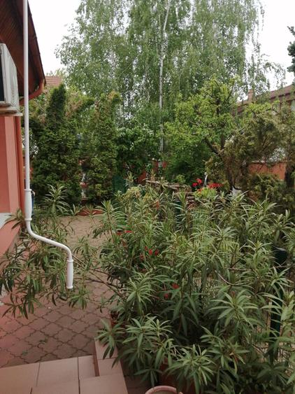 Vila cochetă Pipera, teren 650 mp - 12