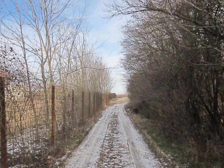 Domnesti-Teghes-Padure - 10