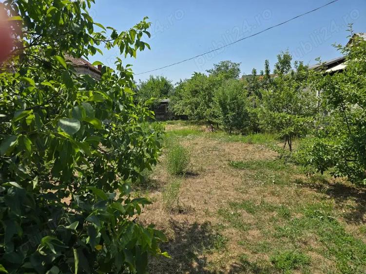 Vand teren intravilan in centrul Orasului Buzias strada Republicii cu toate utilitatile - 9