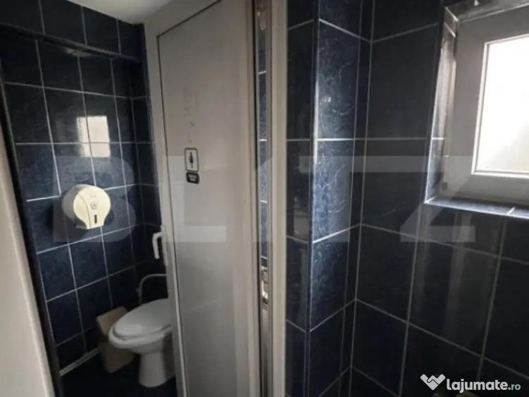 Spa?iu comercial, 6 incaperi, 237 mp, zona Big - 3