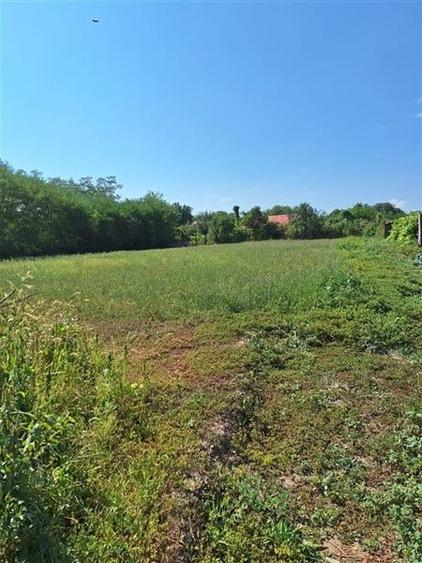 TEREN INTRAVILAM DE VANZARE IN BORZESTI - ONESTI - 5