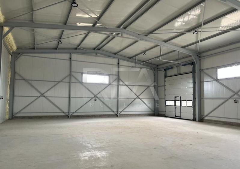 Hala de inchiriat in Domnesti / Centura - 2