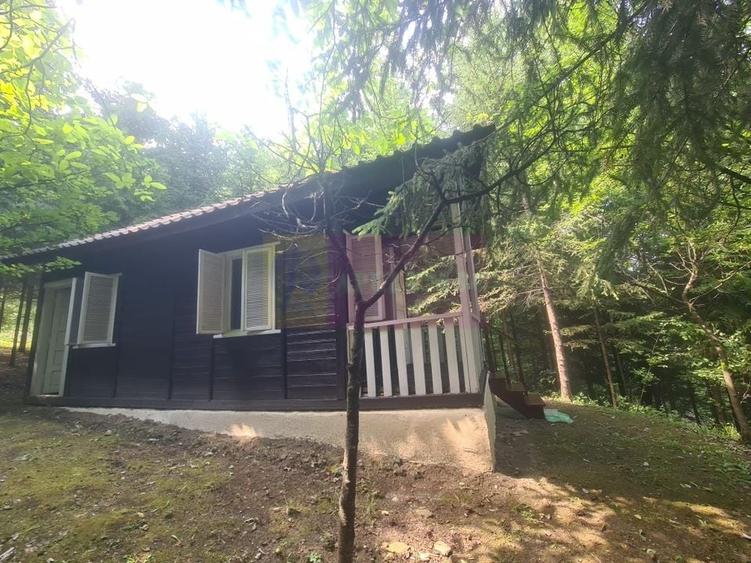 Vila de vanzare in Campina - Zona Lunca Mare - 35