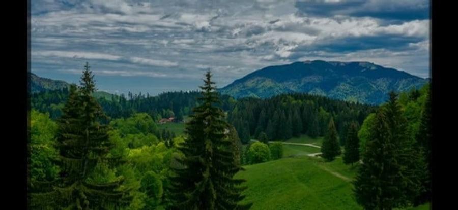 SUPERB Teren  intravilan de 2350mp  in Poiana Mica Brasov - 1