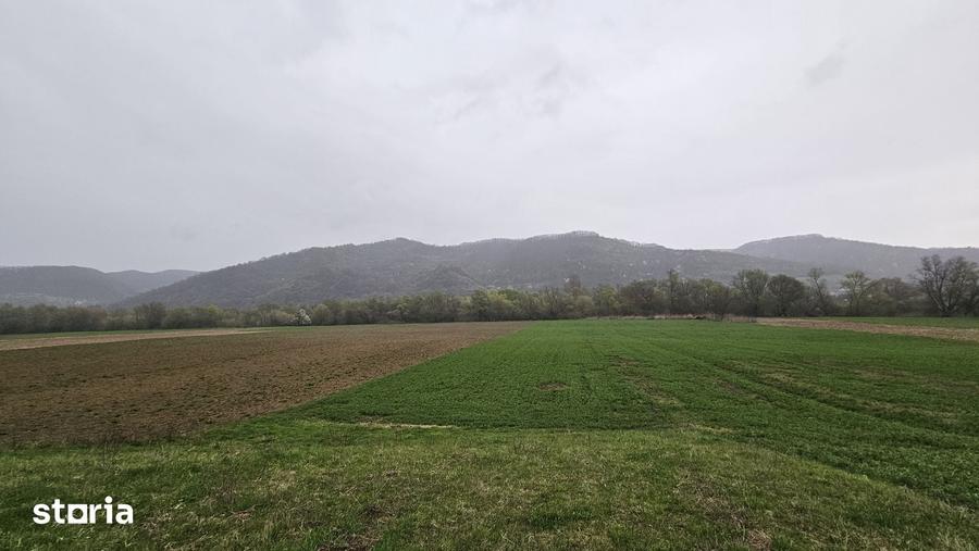 Teren de 4300 mp, în Gâlgău