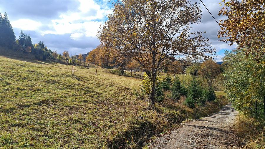 TEREN INTRAVILAN-EXTRAVILAN SPECTACULOS LANGA RESORTUL CHEILE GRADISTEI -FUNDATA - 5