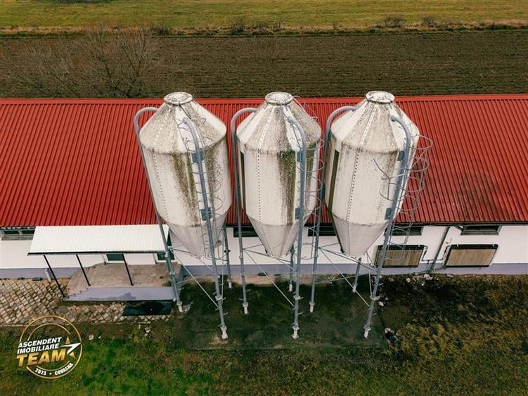 FILM! Ferma de iepuri,Malnas,Covasna: domeniu:comercial/industrial,asset UE - 33