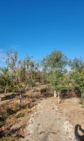 Casa-VILA deosebita ,mobilata plus toate facilitatile - 6