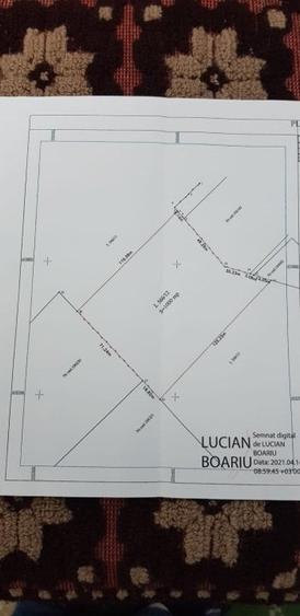 Teren Construcții extravilan de 10000 mp, în Bod - 3