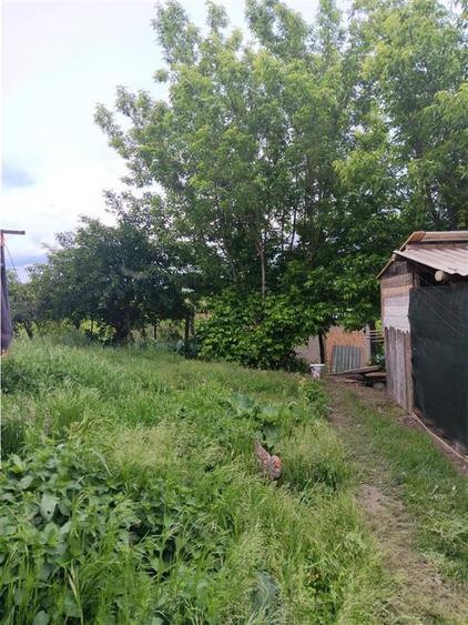 Ciurbesti Casa batraneasca cu TEREN 1347mp - 7