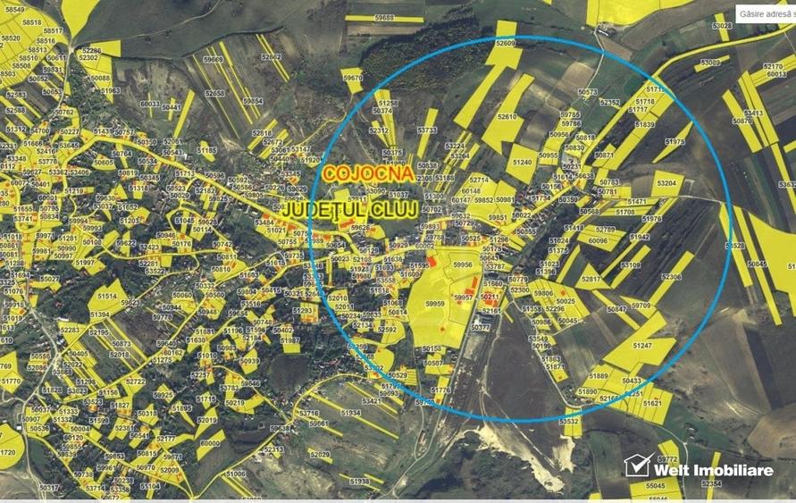 Cojocna, intravilan, 1600mp, priveliste peste bai, liniste aer curat - 3
