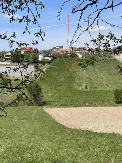 Teren de 3000 mp, în Ortelec