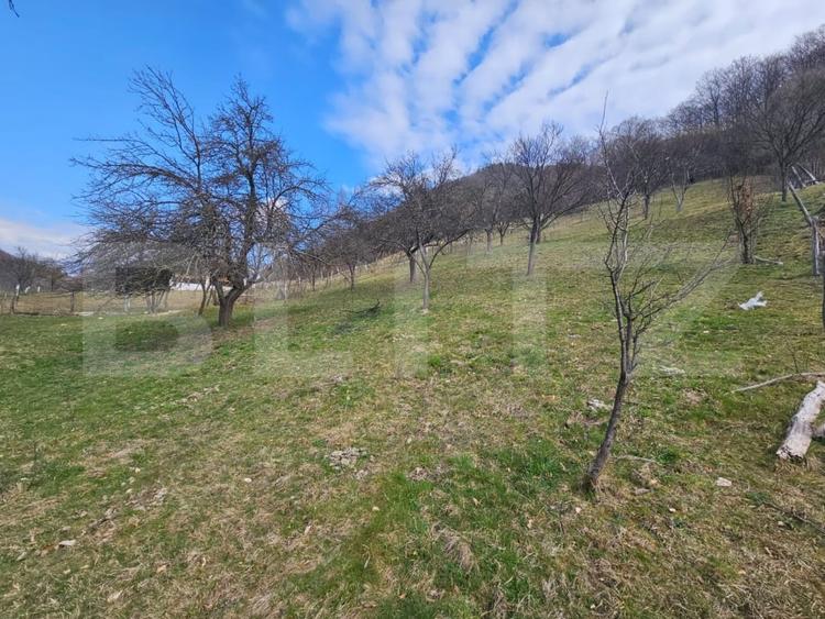Teren Construcții intravilan de 4000 mp, în Cugir