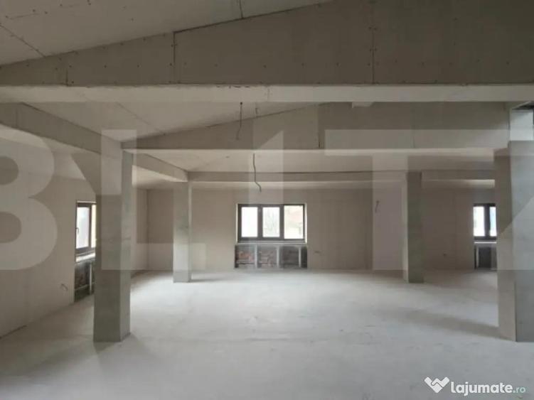 Spa?iu comercial tip casa, D+P+M, 440 mp, zona centrala C - 1