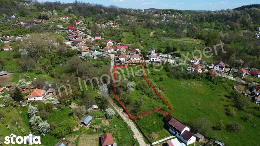 Teren 2677 mp de vanzare in comuna Valea Ia?ului, jude? Arge?. - 6